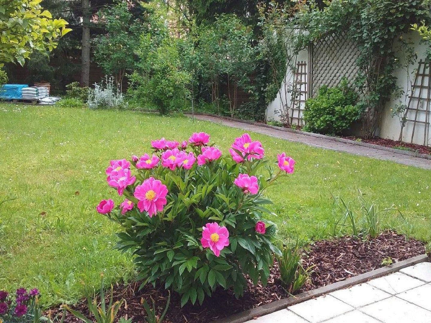 Prenájom bytu 2-izbový 90 m², Zorneding, Bavorsko Prenájom bytu 2-izbový 90 m², Zorneding, Bavorsko