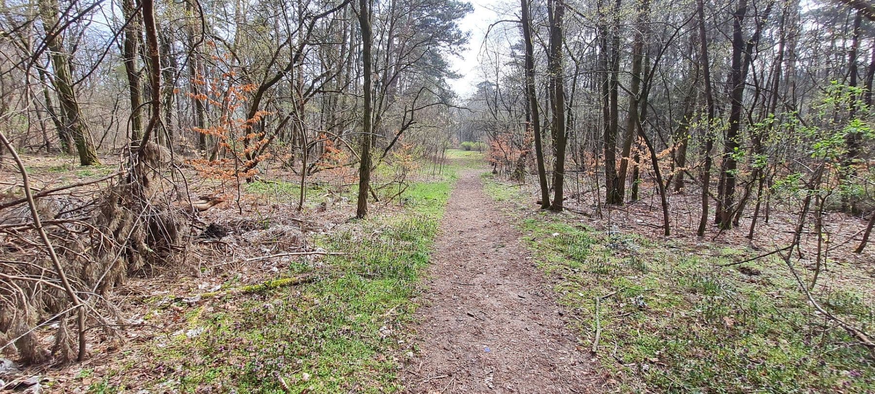 Predaj domu 148 m², pozemek 737 m², Storkow (Mark), Brandenbursko Predaj domu 148 m², pozemek 737 m², Storkow (Mark), Brandenbursko