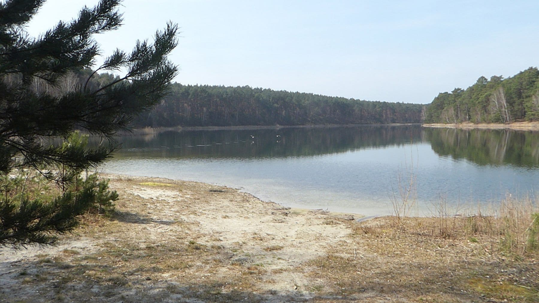 Predaj domu 148 m², pozemek 737 m², Storkow (Mark), Brandenbursko Predaj domu 148 m², pozemek 737 m², Storkow (Mark), Brandenbursko