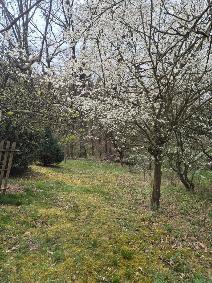 Prenájom rekreačného objektu 18 m², pozemek 900 m², Okrajová, Zdiby, Středočeský kraj Prenájom rekreačného objektu 18 m², pozemek 900 m², Okrajová, Zdiby, Středočeský kraj