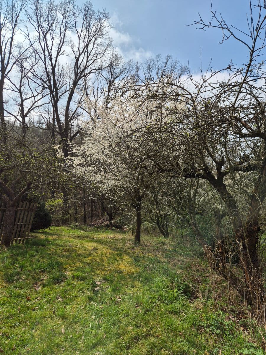 Prenájom rekreačného objektu 18 m², pozemek 900 m², Okrajová, Zdiby, Středočeský kraj Prenájom rekreačného objektu 18 m², pozemek 900 m², Okrajová, Zdiby, Středočeský kraj