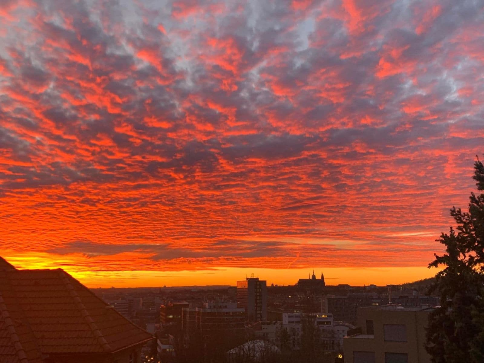 Prenájom bytu 2-izbový 52 m², Zengrova, Praha, Praha Prenájom bytu 2-izbový 52 m², Zengrova, Praha, Praha