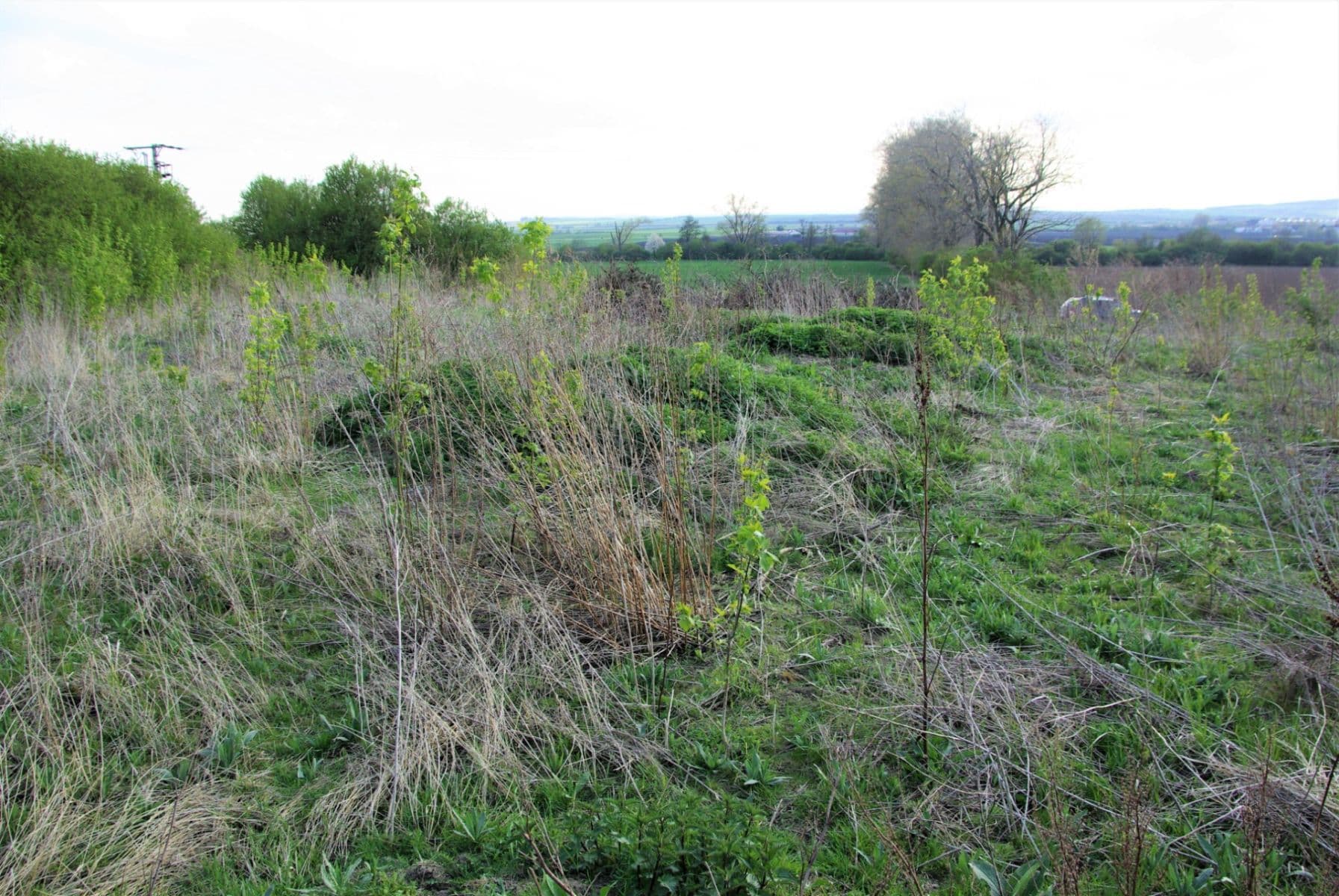 Predaj pozemku 3.021 m², Hněvotín, Olomoucký kraj Predaj pozemku 3.021 m², Hněvotín, Olomoucký kraj