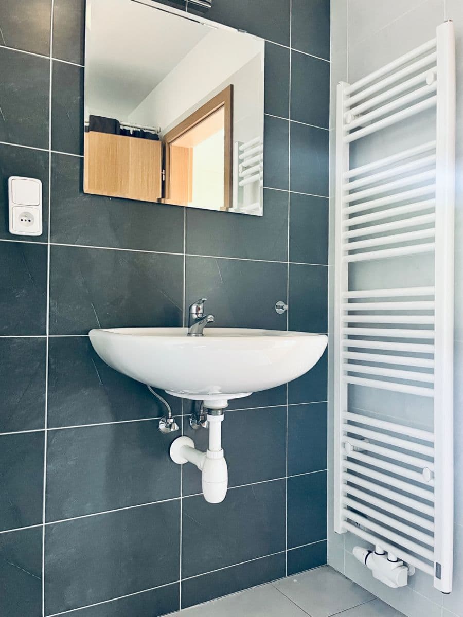 Prenájom bytu 1-izbový 32 m², Radlická, Praha, Praha Prenájom bytu 1-izbový 32 m², Radlická, Praha, Praha