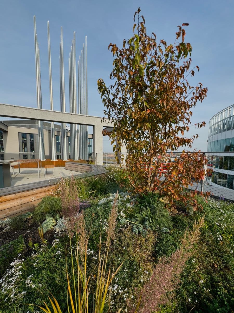 Predaj bytu 1-izbový 22 m², Plzeňská, Praha, Praha Predaj bytu 1-izbový 22 m², Plzeňská, Praha, Praha