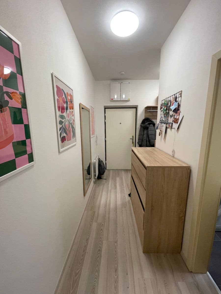 Prenájom bytu 1-izbový 32 m², Kamínky, Brno, Jihomoravský kraj Prenájom bytu 1-izbový 32 m², Kamínky, Brno, Jihomoravský kraj