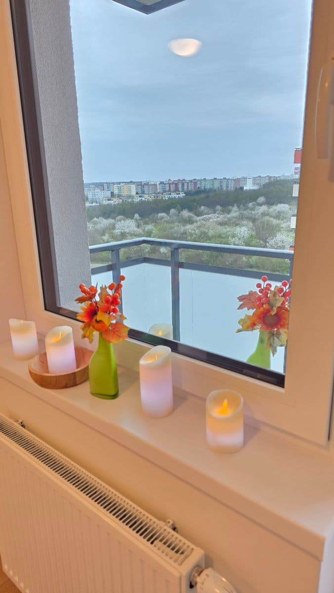 Prenájom bytu 1-izbový 31 m², Hermanové, Praha, Praha Prenájom bytu 1-izbový 31 m², Hermanové, Praha, Praha