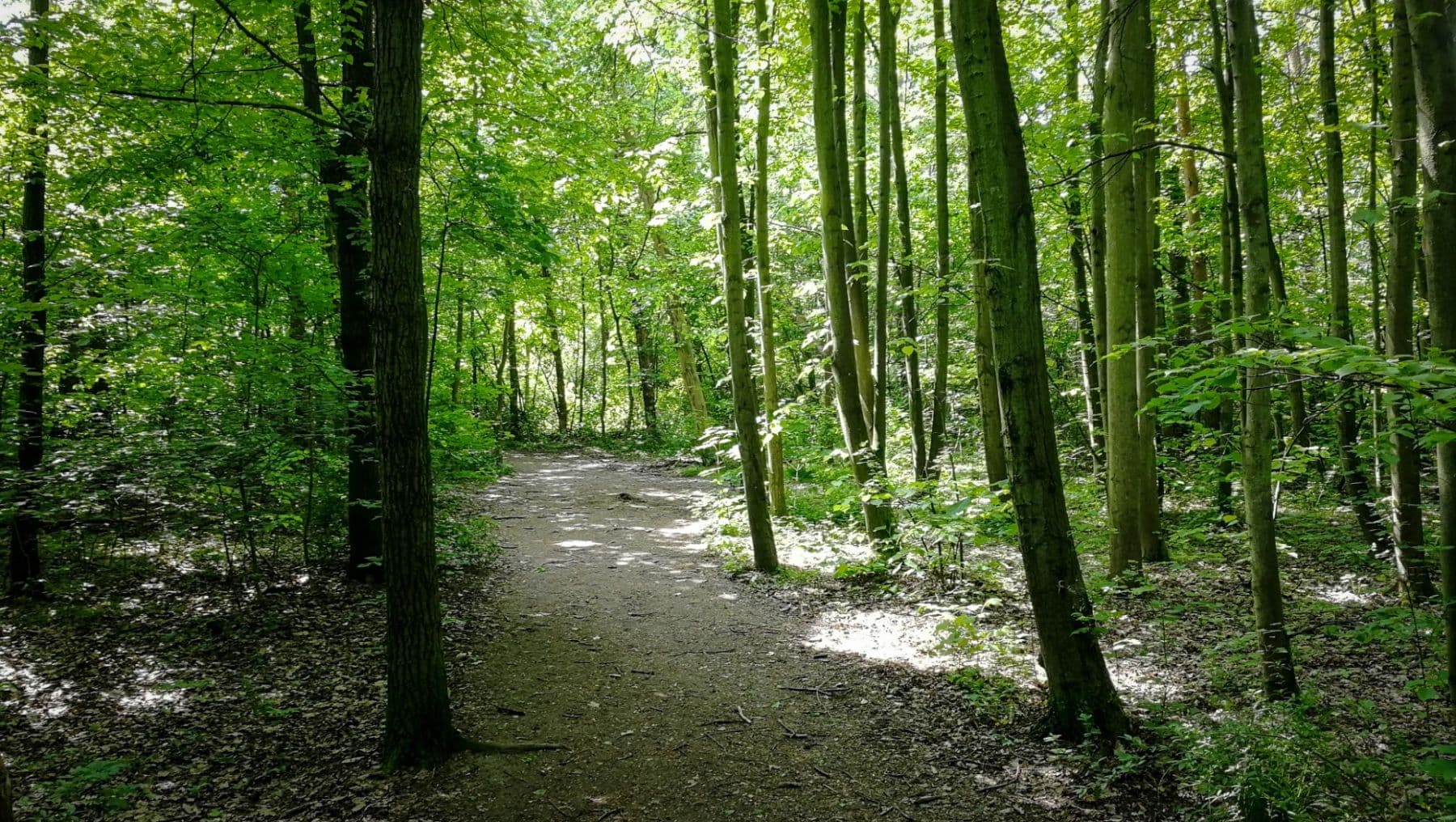 Prenájom bytu 1-izbový 31 m², Hermanové, Praha, Praha Prenájom bytu 1-izbový 31 m², Hermanové, Praha, Praha