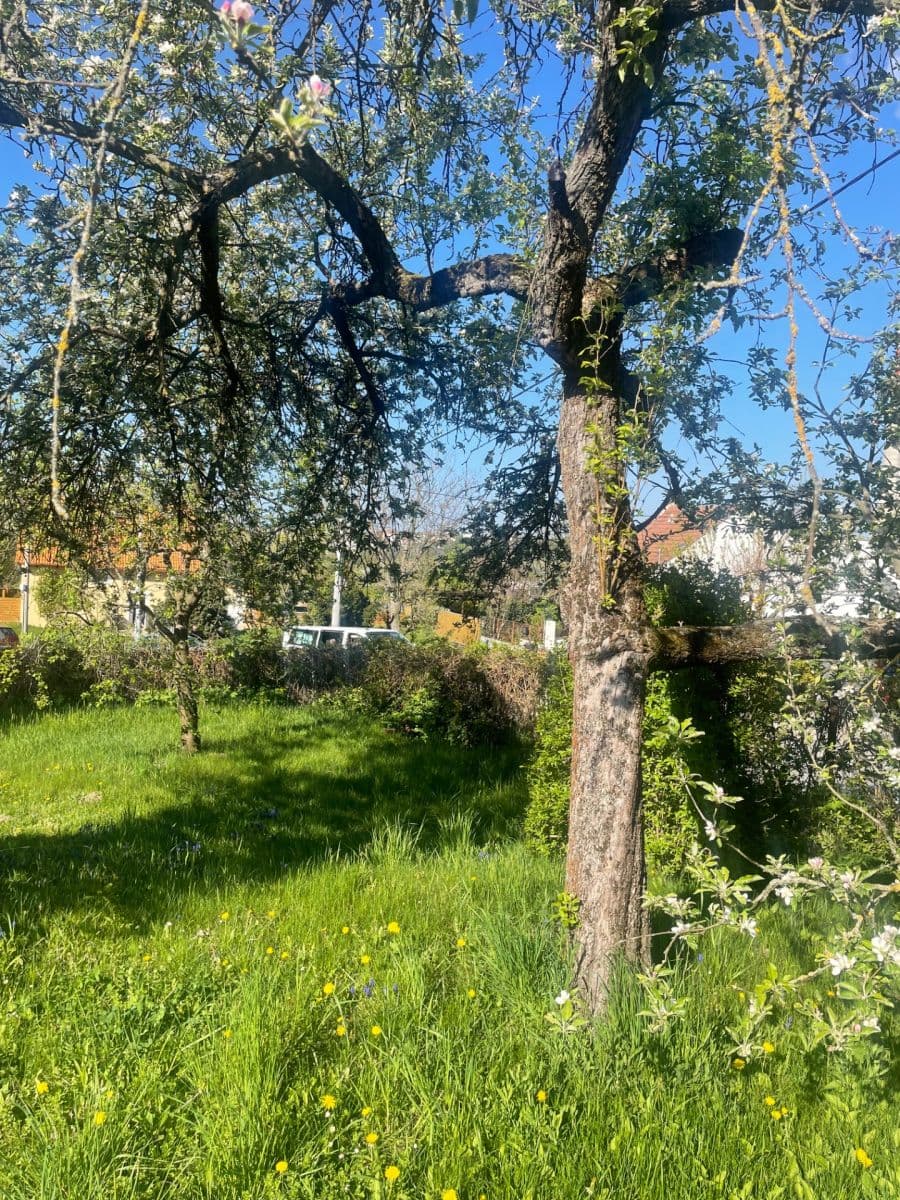 Prenájom pozemku 400 m², Brno, Jihomoravský kraj Prenájom pozemku 400 m², Brno, Jihomoravský kraj