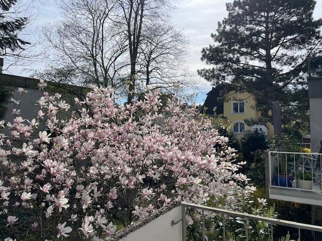 Predaj bytu 2-izbový 61 m², Tiergartenstraße 150, Hannover, Dolné Sasko Predaj bytu 2-izbový 61 m², Tiergartenstraße 150, Hannover, Dolné Sasko