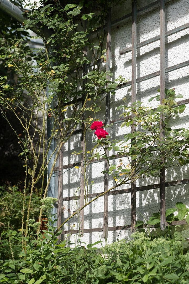 Predaj domu 295 m², pozemek 3.159 m², Wildenberg, Bavorsko Predaj domu 295 m², pozemek 3.159 m², Wildenberg, Bavorsko