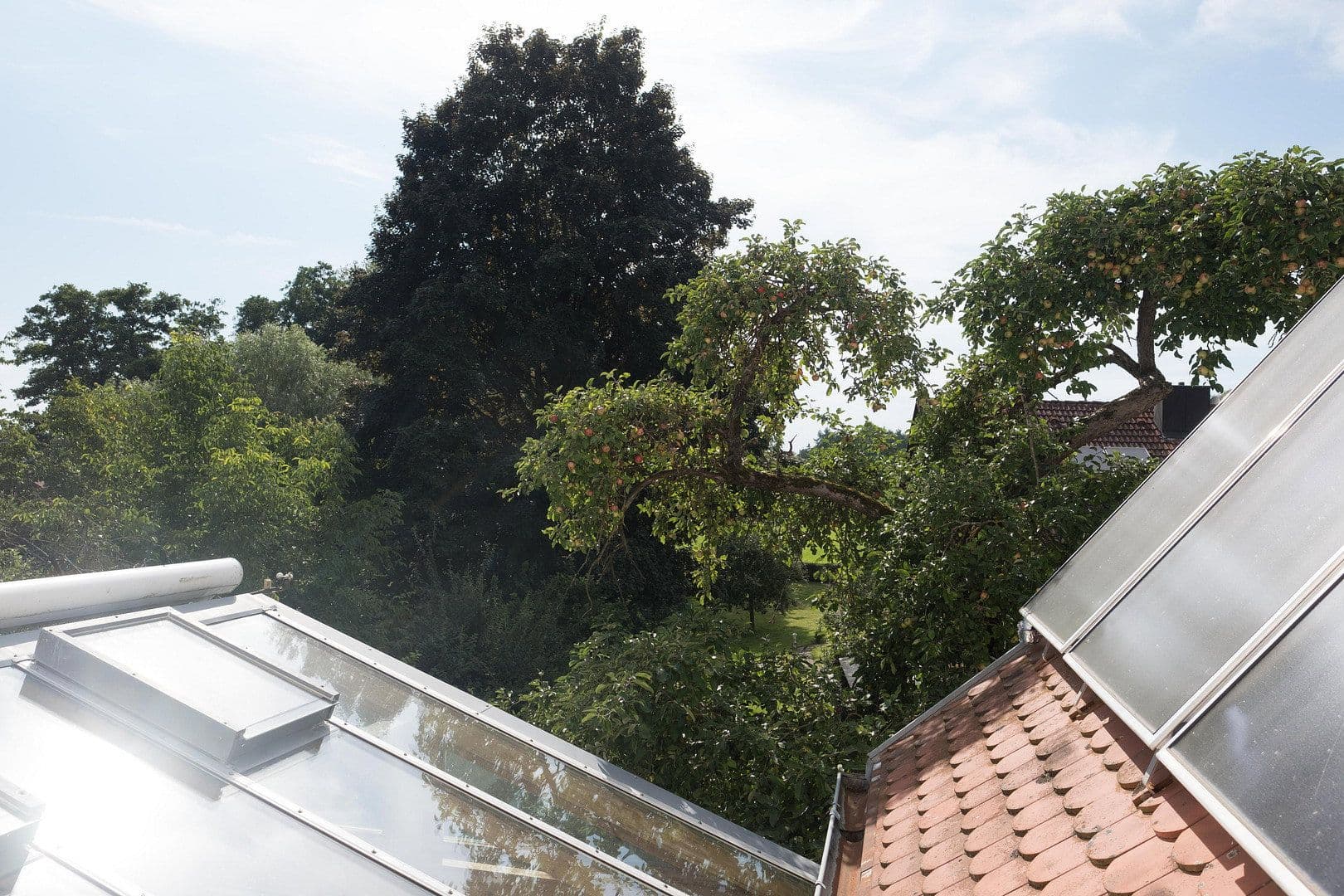 Predaj domu 295 m², pozemek 3.159 m², Wildenberg, Bavorsko Predaj domu 295 m², pozemek 3.159 m², Wildenberg, Bavorsko