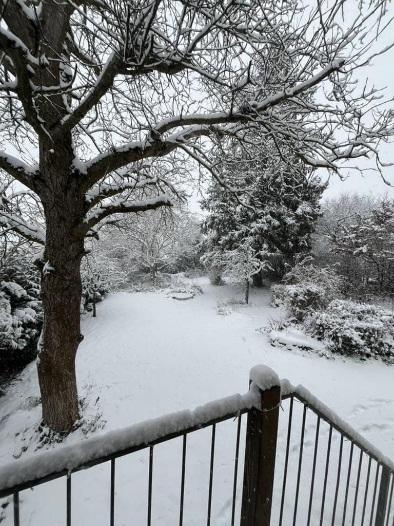 Predaj domu 183 m², pozemek 975 m², Linsengericht, Hesensko Predaj domu 183 m², pozemek 975 m², Linsengericht, Hesensko