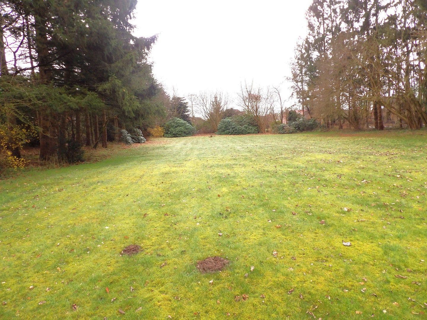 Predaj domu 88 m², pozemek 5.059 m², Ostenfeld, Šlezvicko-Holštajnsko Predaj domu 88 m², pozemek 5.059 m², Ostenfeld, Šlezvicko-Holštajnsko