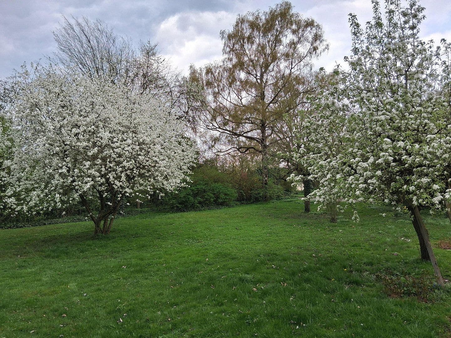 Predaj domu 130 m², pozemek 5.500 m², Korbach, Hesensko Predaj domu 130 m², pozemek 5.500 m², Korbach, Hesensko