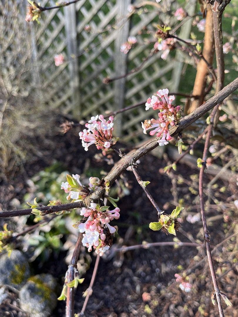 Predaj domu 131 m², pozemek 672 m², Neukirchen bei Sulzbach-Rosenberg, Bavorsko Predaj domu 131 m², pozemek 672 m², Neukirchen bei Sulzbach-Rosenberg, Bavorsko