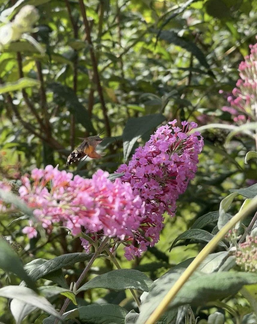 Predaj domu 131 m², pozemek 672 m², Neukirchen bei Sulzbach-Rosenberg, Bavorsko Predaj domu 131 m², pozemek 672 m², Neukirchen bei Sulzbach-Rosenberg, Bavorsko
