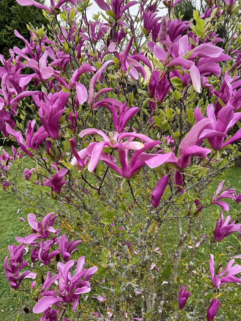 Predaj domu 131 m², pozemek 672 m², Neukirchen bei Sulzbach-Rosenberg, Bavorsko Predaj domu 131 m², pozemek 672 m², Neukirchen bei Sulzbach-Rosenberg, Bavorsko