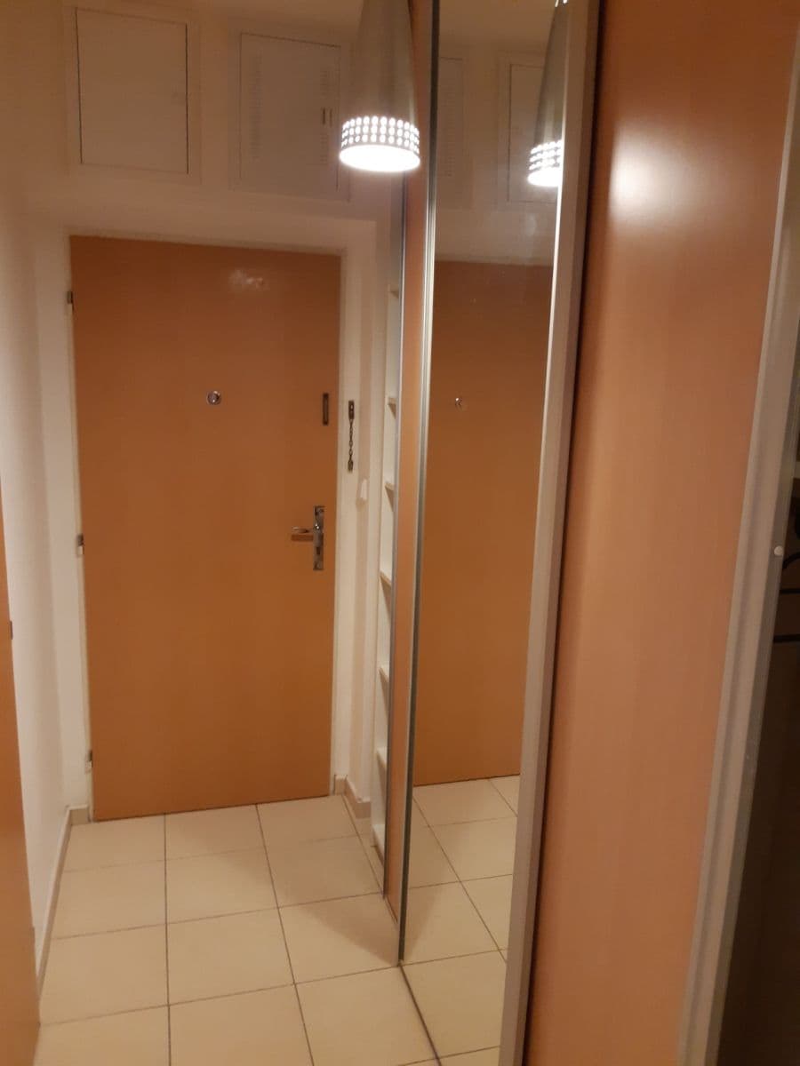 Prenájom bytu 1-izbový 28 m², bratří Žůrků, Brno, Jihomoravský kraj Prenájom bytu 1-izbový 28 m², bratří Žůrků, Brno, Jihomoravský kraj