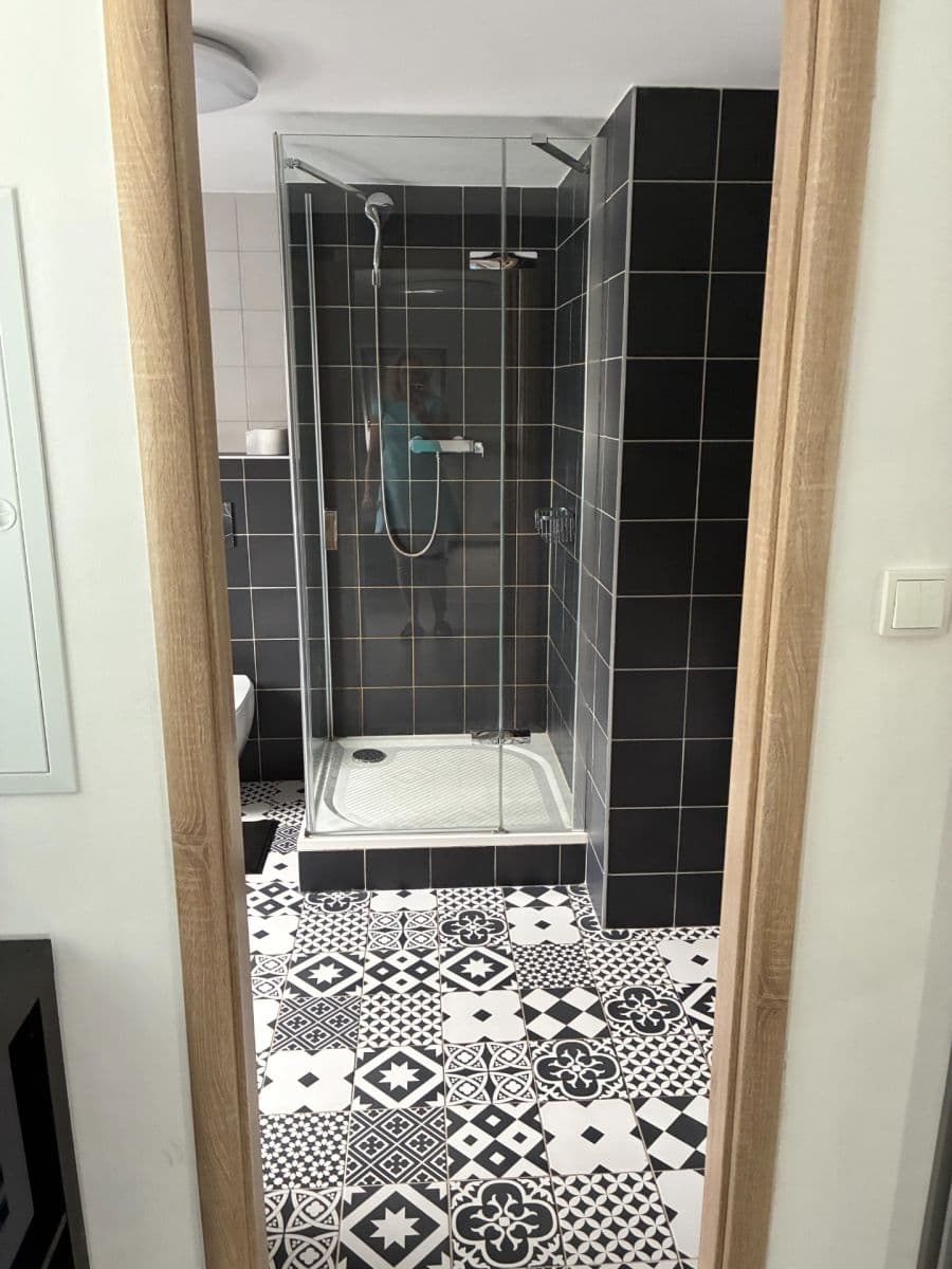 Prenájom bytu 1-izbový 45 m², U Svodnice, Praha, Praha Prenájom bytu 1-izbový 45 m², U Svodnice, Praha, Praha