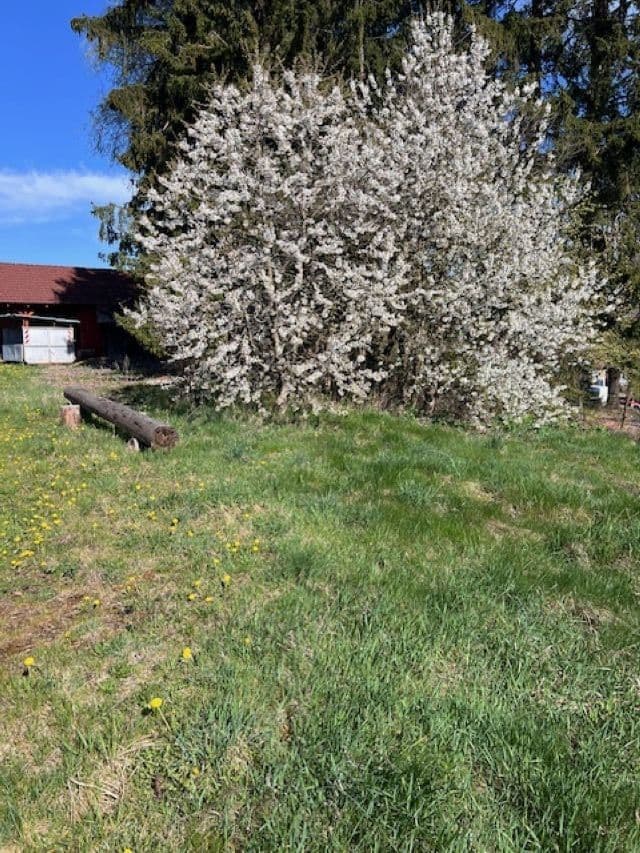 Prenájom bytu 3-izbový 75 m², Chotoviny, Jihočeský kraj Prenájom bytu 3-izbový 75 m², Chotoviny, Jihočeský kraj