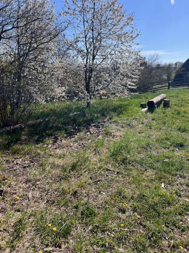 Prenájom bytu 3-izbový 75 m², Chotoviny, Jihočeský kraj Prenájom bytu 3-izbový 75 m², Chotoviny, Jihočeský kraj