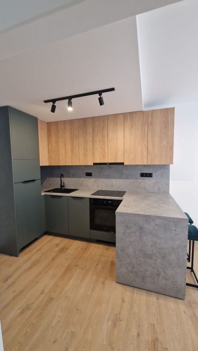 Prenájom bytu 2-izbový 38 m², Bratislavská, Brno, Jihomoravský kraj Prenájom bytu 2-izbový 38 m², Bratislavská, Brno, Jihomoravský kraj