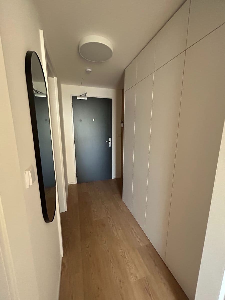 Prenájom bytu 1-izbový 42 m², třída Generála Píky, Brno, Jihomoravský kraj Prenájom bytu 1-izbový 42 m², třída Generála Píky, Brno, Jihomoravský kraj