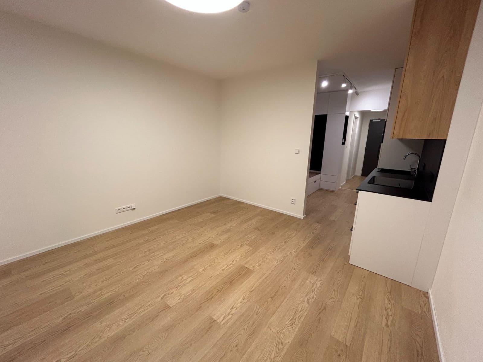 Prenájom bytu 1-izbový 42 m², třída Generála Píky, Brno, Jihomoravský kraj Prenájom bytu 1-izbový 42 m², třída Generála Píky, Brno, Jihomoravský kraj