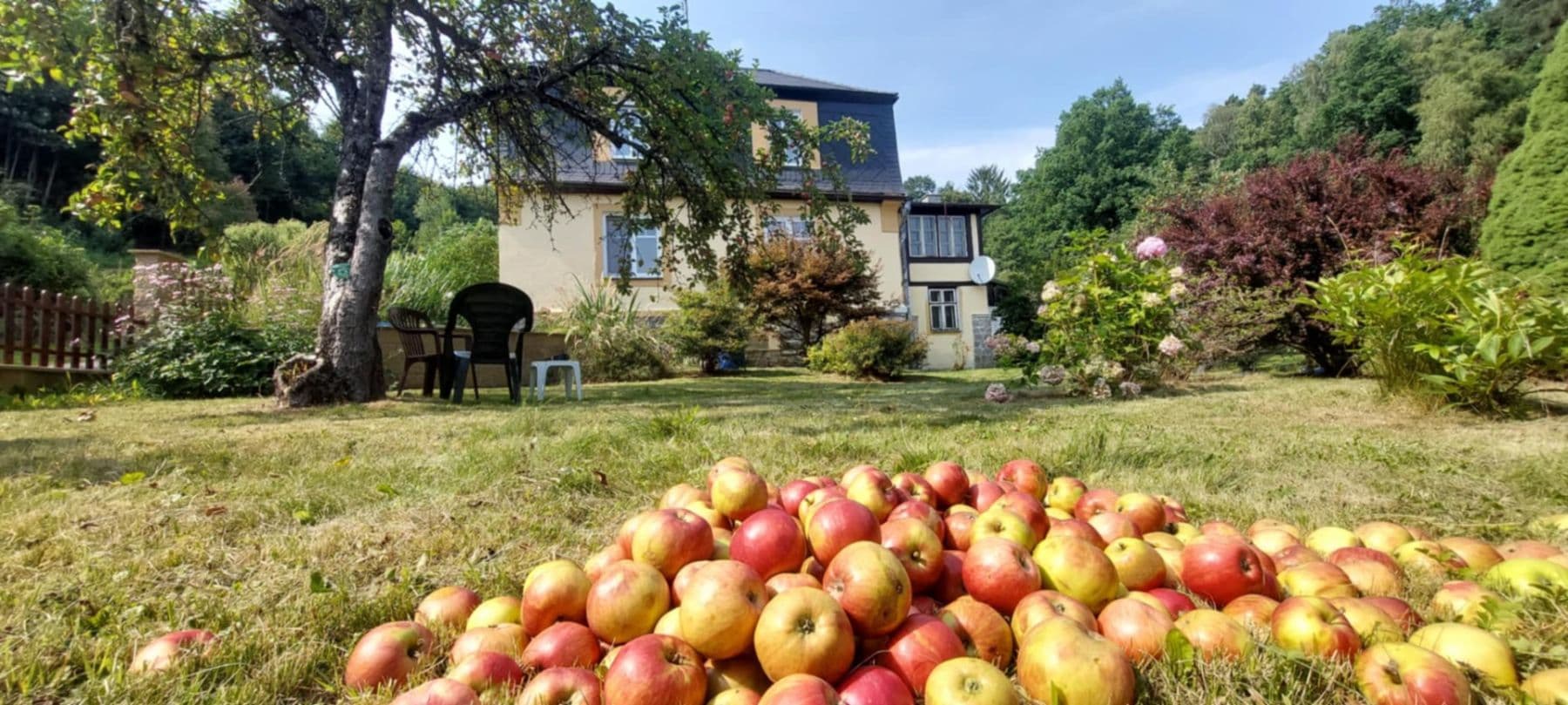 Predaj domu 190 m², pozemek 2.800 m², Nádražní, Mikulovice, Olomoucký kraj Predaj domu 190 m², pozemek 2.800 m², Nádražní, Mikulovice, Olomoucký kraj