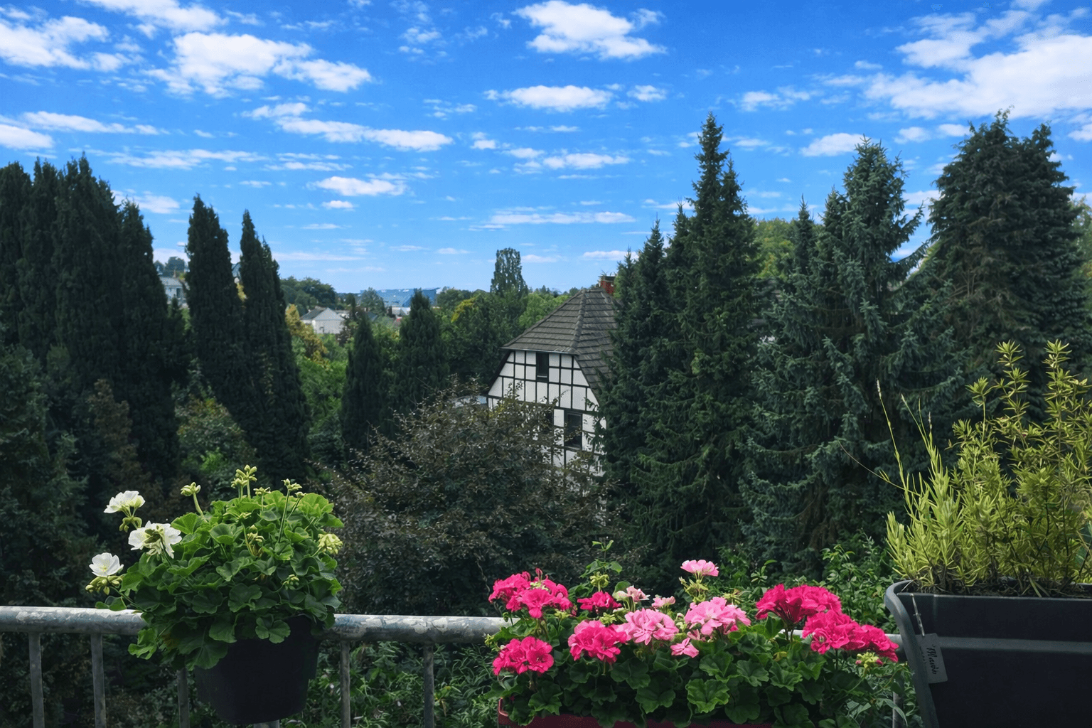 Prenájom bytu 3-izbový 90 m², Overather Straße 10 a, Bergisch Gladbach, Severné Porýnie - Westfálsko Prenájom bytu 3-izbový 90 m², Overather Straße 10 a, Bergisch Gladbach, Severné Porýnie - Westfálsko