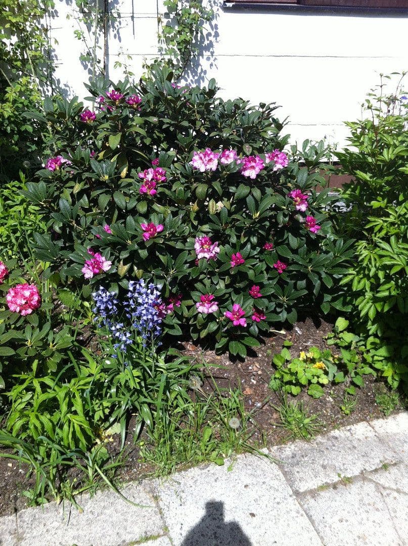 Predaj domu 230 m², pozemek 599 m², München, Bavorsko Predaj domu 230 m², pozemek 599 m², München, Bavorsko