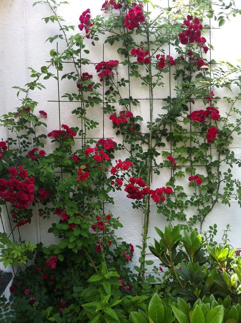 Predaj domu 230 m², pozemek 599 m², München, Bavorsko Predaj domu 230 m², pozemek 599 m², München, Bavorsko