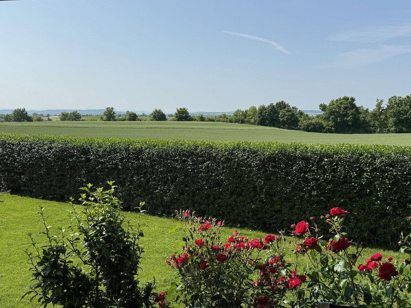 Predaj domu 150 m², pozemek 441 m², Luise-Schöffel-Weg 9, Herrenberg, Bádensko-Wurttembersko Predaj domu 150 m², pozemek 441 m², Luise-Schöffel-Weg 9, Herrenberg, Bádensko-Wurttembersko