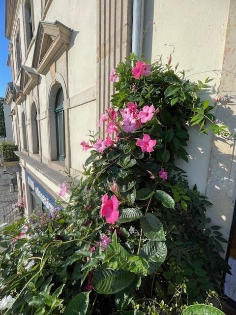 Prenájom bytu 4-izbový 88 m², Österreicher Str. 44, Dresden, Sasko Prenájom bytu 4-izbový 88 m², Österreicher Str. 44, Dresden, Sasko