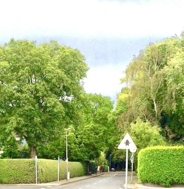 Predaj domu 165 m², pozemek 381 m², Köln, Severné Porýnie - Westfálsko Predaj domu 165 m², pozemek 381 m², Köln, Severné Porýnie - Westfálsko