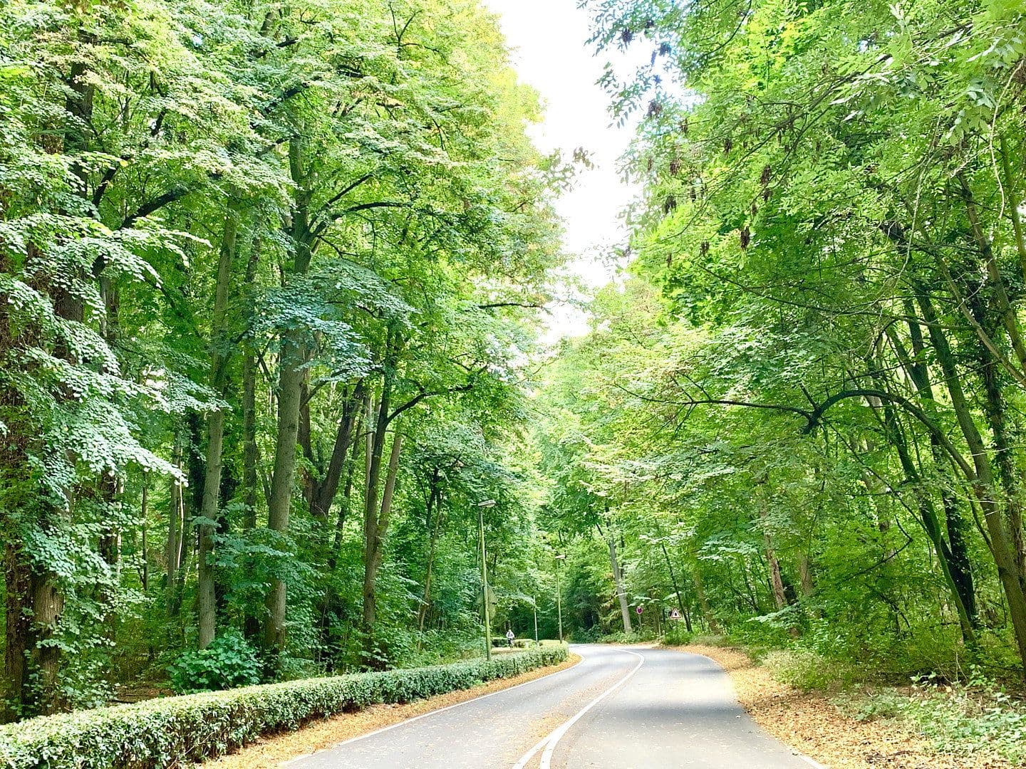 Predaj domu 165 m², pozemek 381 m², Köln, Severné Porýnie - Westfálsko Predaj domu 165 m², pozemek 381 m², Köln, Severné Porýnie - Westfálsko