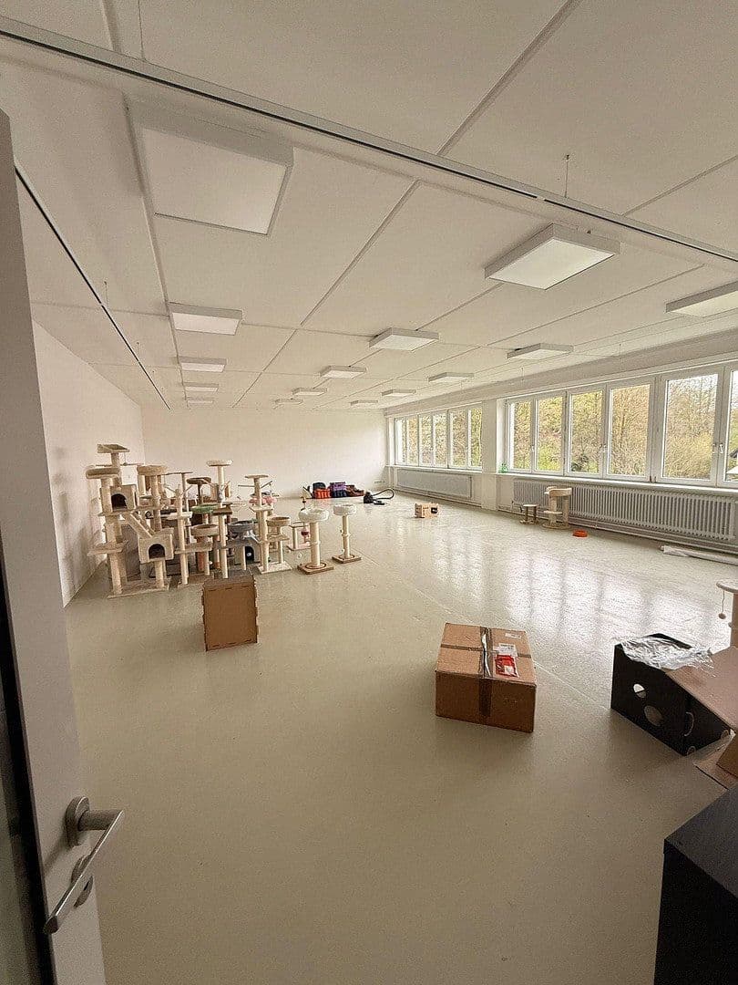 Prenájom kancelárie 100 m², Pfadwiesenstraße 27, Mörlenbach, Hesensko Prenájom kancelárie 100 m², Pfadwiesenstraße 27, Mörlenbach, Hesensko