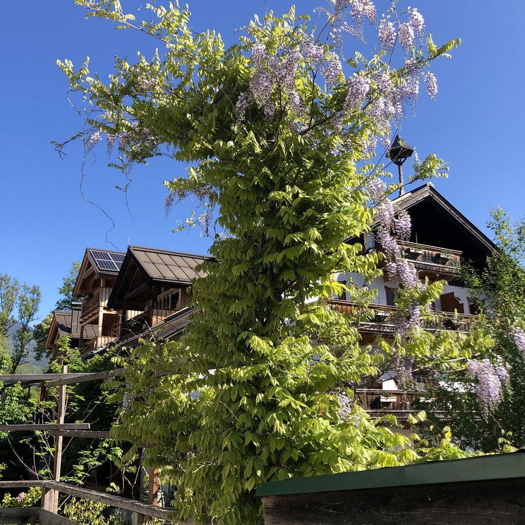 Predaj bytu 2-izbový 64 m², Grubhof 37, St. Martin Bei Lofer, Salzbursko Predaj bytu 2-izbový 64 m², Grubhof 37, St. Martin Bei Lofer, Salzbursko