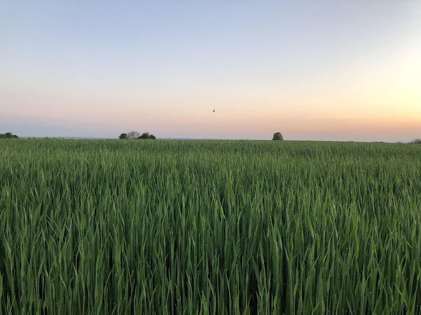 Predaj domu 192 m², pozemek 353 m², Wiesbaden, Hesensko Predaj domu 192 m², pozemek 353 m², Wiesbaden, Hesensko