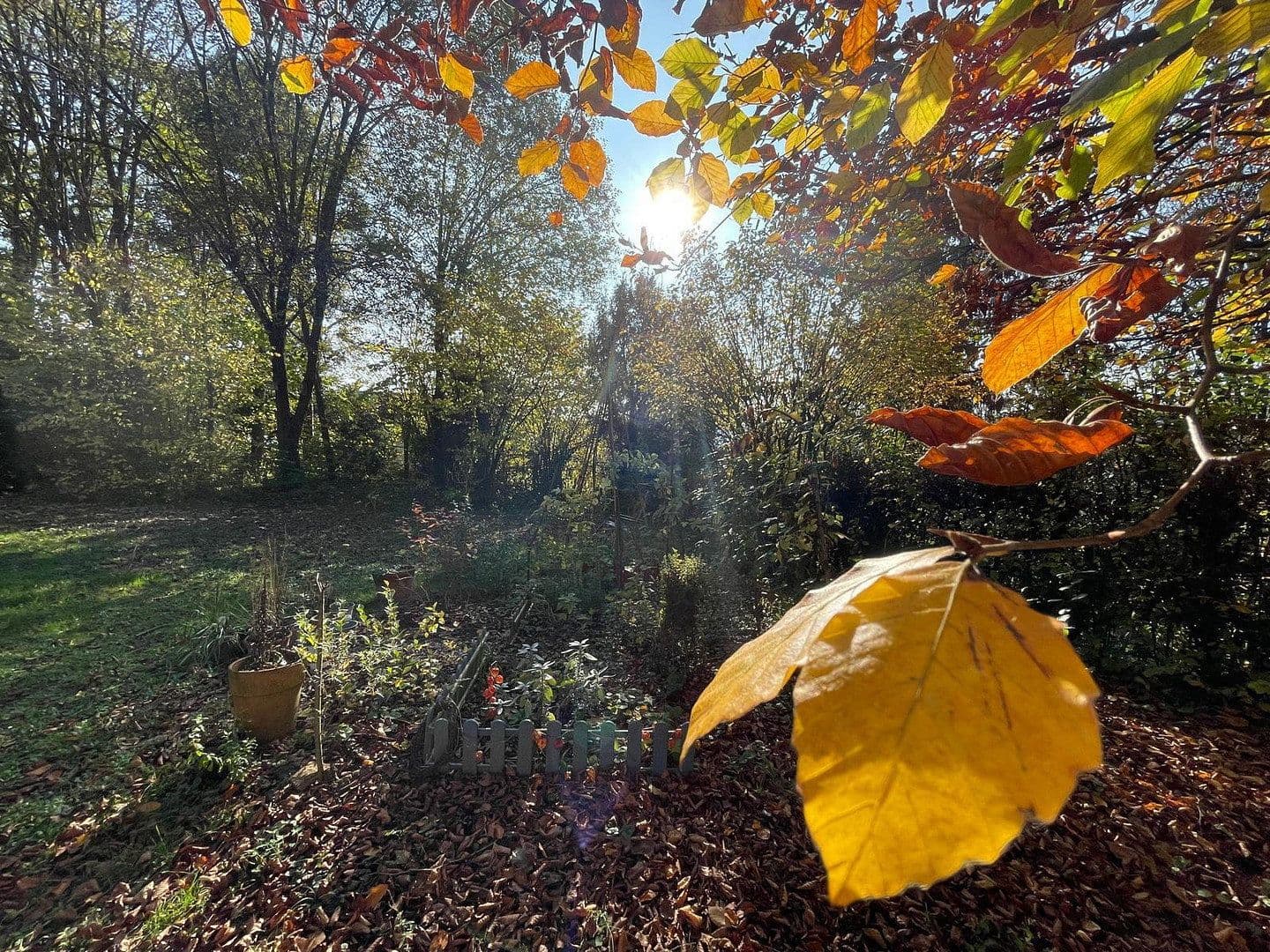 Prenájom domu 150 m², pozemek 1.000 m², Bammental, Bádensko-Wurttembersko Prenájom domu 150 m², pozemek 1.000 m², Bammental, Bádensko-Wurttembersko