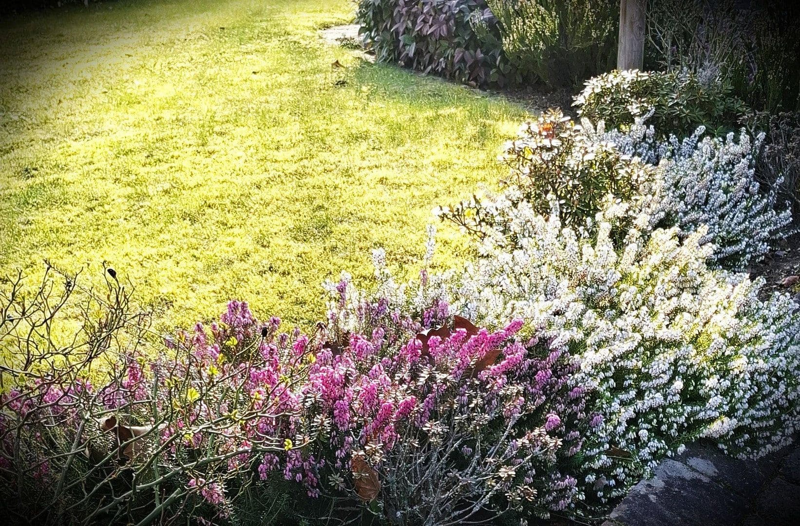 Predaj domu 95 m², pozemek 270 m², Seevetal, Dolné Sasko Predaj domu 95 m², pozemek 270 m², Seevetal, Dolné Sasko