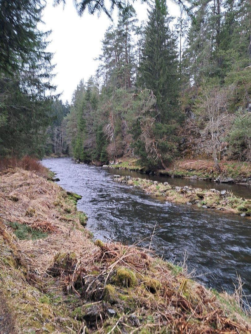 Predaj domu 280 m², pozemek 4.460 m², Regen, Bavorsko Predaj domu 280 m², pozemek 4.460 m², Regen, Bavorsko