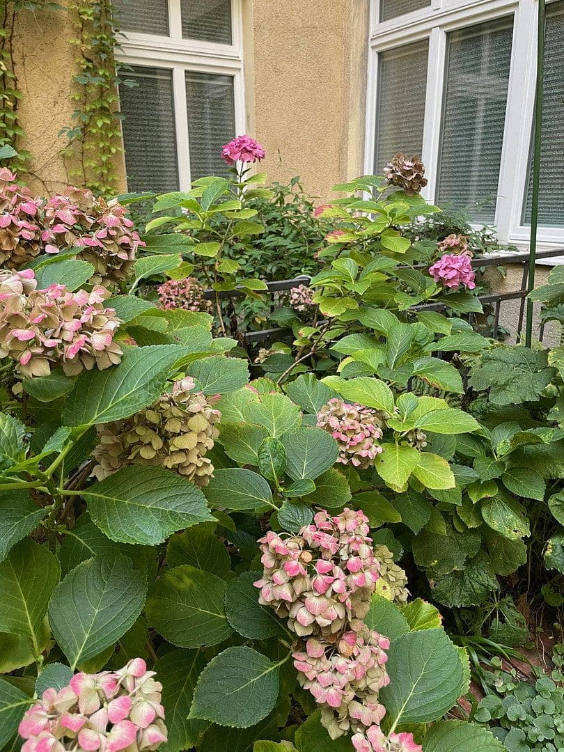 Prenájom kancelárie 135 m², Berlin, Berlín Prenájom kancelárie 135 m², Berlin, Berlín