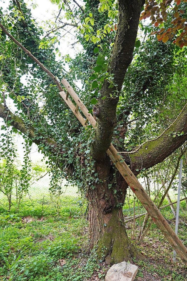 Predaj domu 171 m², pozemek 3.806 m², Untersteinbach 1, Bergisch Gladbach, Severné Porýnie - Westfálsko Predaj domu 171 m², pozemek 3.806 m², Untersteinbach 1, Bergisch Gladbach, Severné Porýnie - Westfálsko