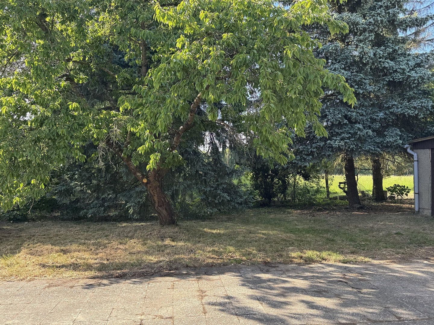 Predaj domu 127 m², pozemek 1.120 m², Gardelegen, Sasko-Anhaltsko Predaj domu 127 m², pozemek 1.120 m², Gardelegen, Sasko-Anhaltsko