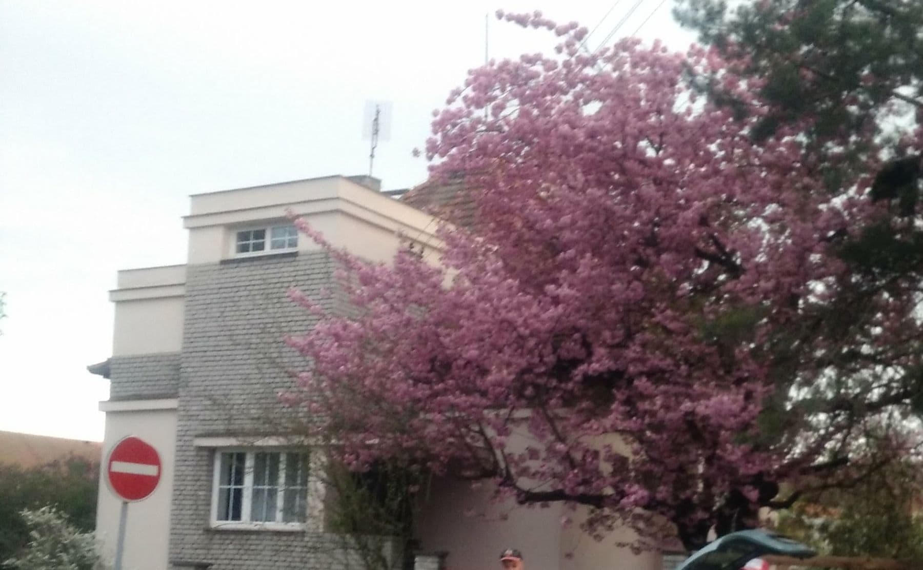 Prenájom domu 150 m², pozemek 1.000 m², Slovenská, Přeštice, Plzeňský kraj Prenájom domu 150 m², pozemek 1.000 m², Slovenská, Přeštice, Plzeňský kraj