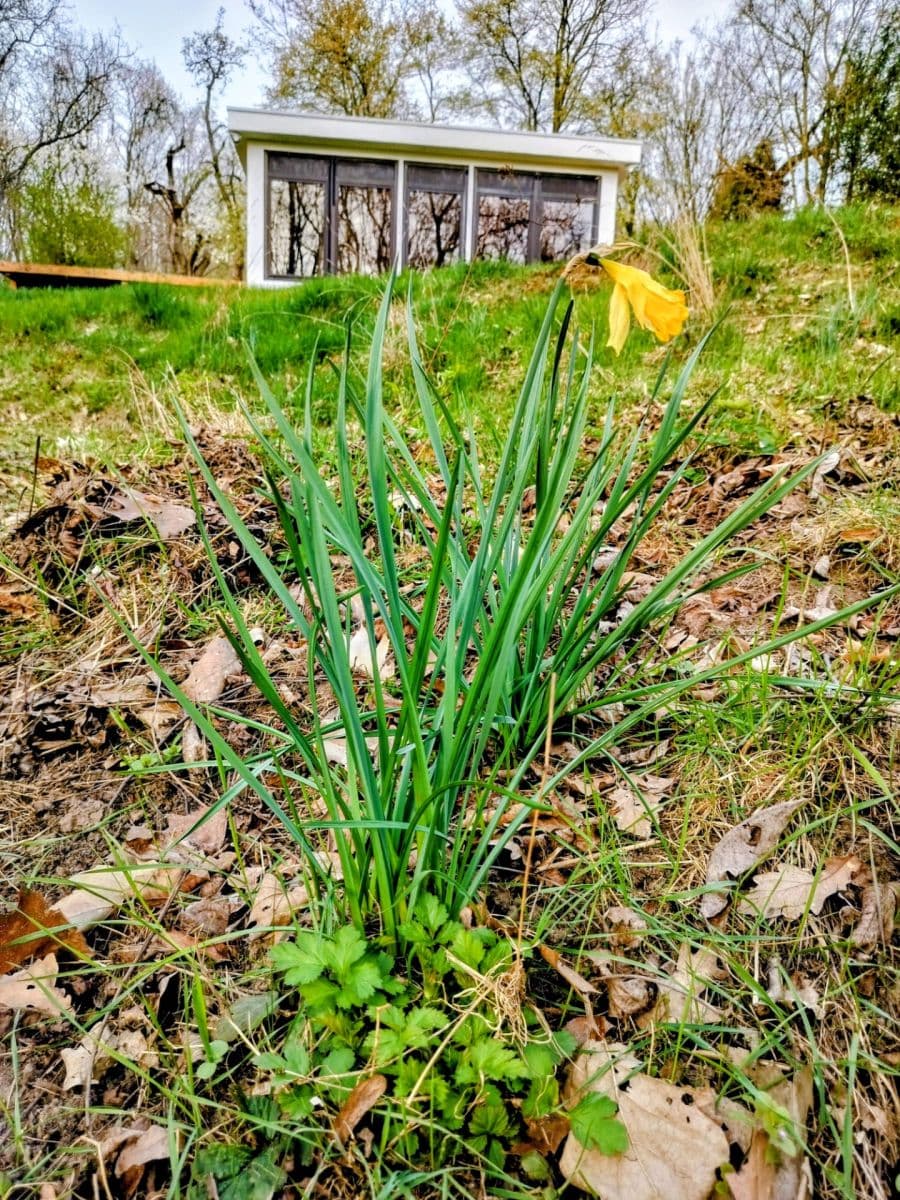 Prenájom pozemku 639 m², Praha, Praha Prenájom pozemku 639 m², Praha, Praha