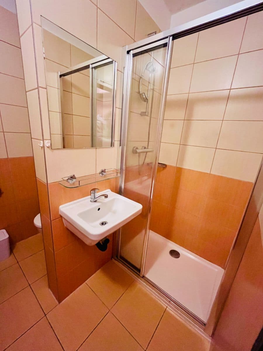 Prenájom bytu 1-izbový 25 m², Částkova, Plzeň, Plzeňský kraj Prenájom bytu 1-izbový 25 m², Částkova, Plzeň, Plzeňský kraj