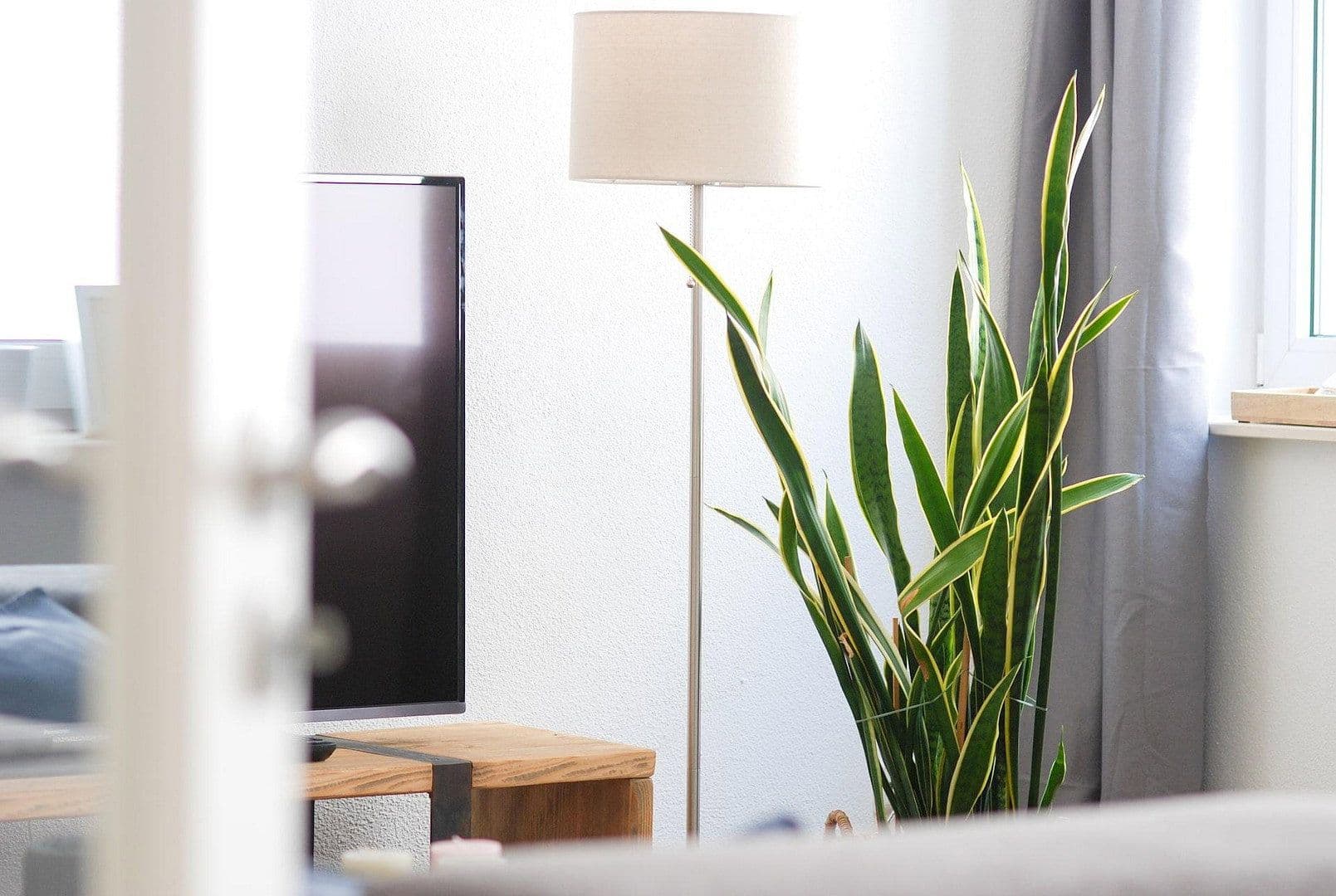 Predaj domu 80 m², pozemek 48 m², Burgstrasse 1, Pommern, Porýnie-Falcko Predaj domu 80 m², pozemek 48 m², Burgstrasse 1, Pommern, Porýnie-Falcko